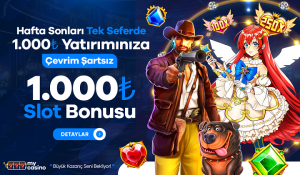 Mycasino güncel bilgilerini takip ederek en yeni promosyonlardan ve avantajlı fırsatlardan haberdar olabilirsiniz.